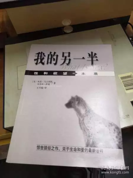 10、我的另一半在哪裡測試:怎樣測試我的另一半長什麼樣
