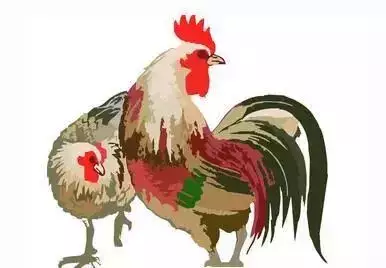 男的屬蛇女的屬馬最好生什麼屬相的寶寶?