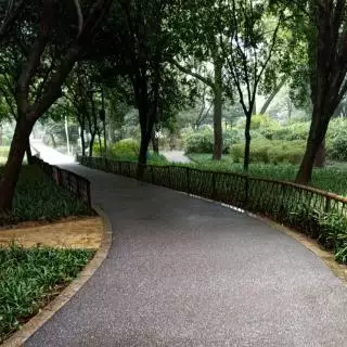 不給自己留退路的屬相：為什麼要給自己留條退路？