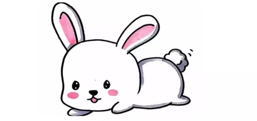 2、年屬兔的年份及年齡:年屬兔的多大年齡？
