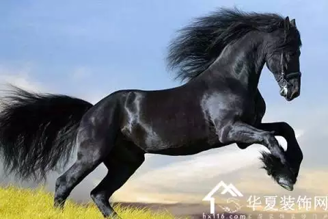 男屬蛇女屬馬的婚姻怎麼樣：女四月屬蛇和男三月屬馬婚姻在一起好嗎