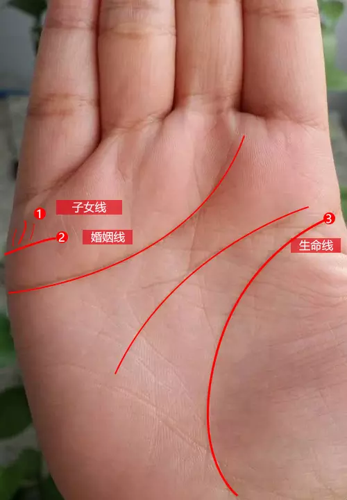 握拳手相看生幾個孩子：看手相生幾個孩子准嗎