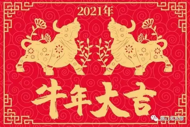 1、屬馬的年犯離婚:年屬馬的感情婚姻怎麼樣