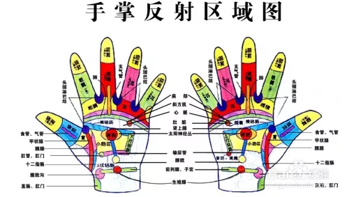 掌上觀紋三條線是什麼屬相：掌上觀紋三條線是怎麼生肖