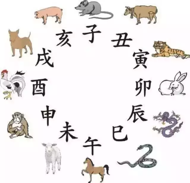 3、生肖寅與生肖丑能婚配嗎:醜末寅來猜生肖