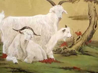 屬羊的生什麼屬相的寶寶好：請問屬羊的人要個什麼屬相的孩子比較好？