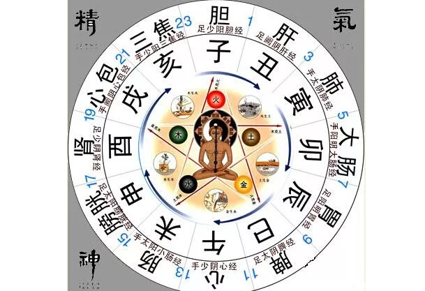 巳時的女孩子命運怎樣：巳時出生的女孩