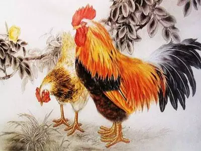 屬相雞的人今年多少歲了：屬雞的人今年多少歲？