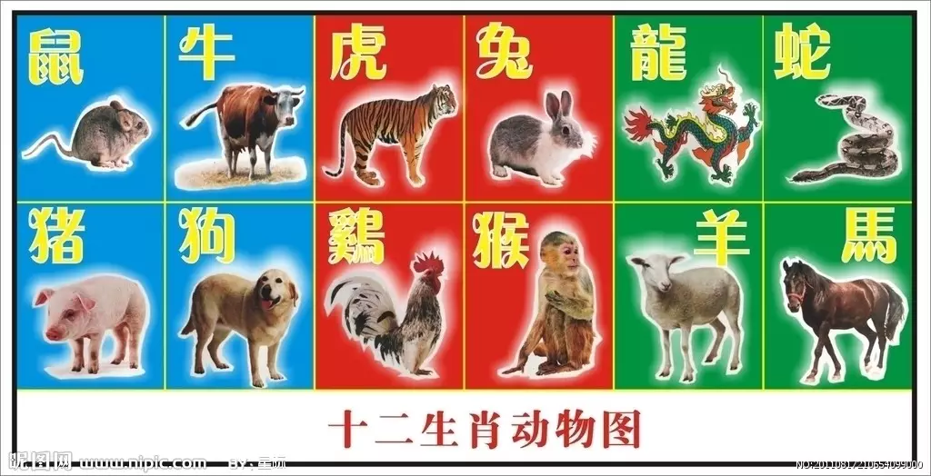 12個屬相哪個最大哪個最小：十二生肖什麼生肖最大