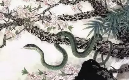 出生在那裡的屬相是哪年的：屬老鼠的人都是哪一年出生的