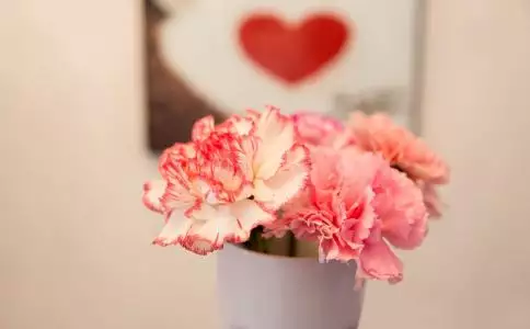 什麼樣的女人桃花運旺：桃花太旺的女人的特質
