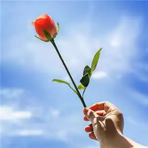 1、寓意好運的微信號:特別含義的微信號