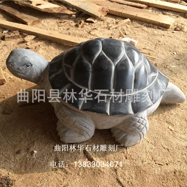 烏龜死了怎麼處理風水最好風水：家裡死烏龜對風水的影響？該怎麼處理？