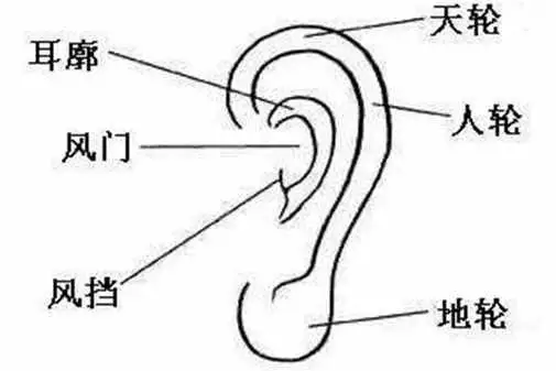 6、78年天上火命人的貴人:八字中最厲害的貴人