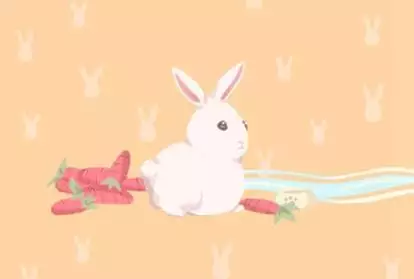 年屬兔的財運和運氣如何：年屬兔人的運程如何？