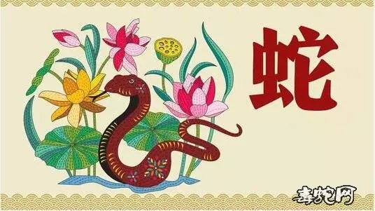 2、兩個人都屬蛇婚配好嗎:屬蛇的什麼的婚配最合適