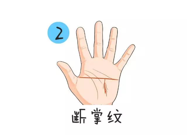 斷掌屬豬女找什麼屬相男：屬豬女的跟什麼屬相最配