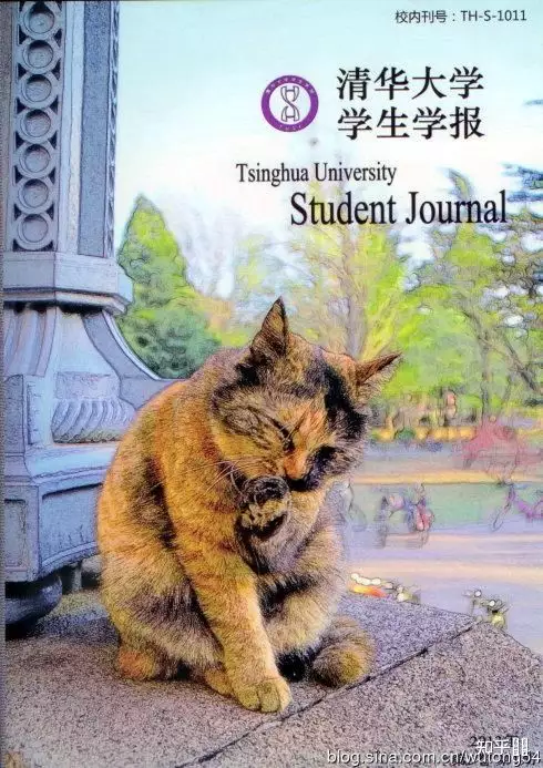 10、先入為主比喻一個動物:先入為主猜一生肖是什麼先入為主猜一生肖動物是什麼