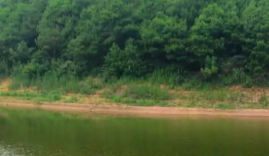 1、屬相運勢排名:生肖運勢排名