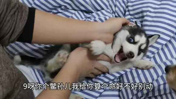 算命先生為什麼能算的那麼准呢，還有新娘子真的不能被孕婦看到嗎