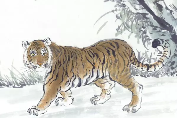 3、74年虎後半生運氣:年屬虎六月生人的運氣
