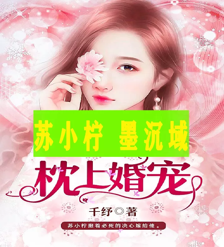 1、枕上寵婚:枕上寵婚的男主角