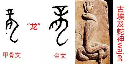 龍和蛇在一起對誰不利：屬龍的和屬蛇的，是不是天生相剋？