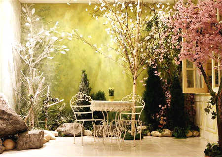 玄关摆什麽植物风水好