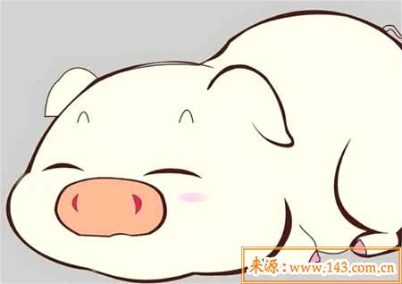 属猪的人办公室风水布局