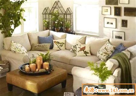 客厅摆放植物风水