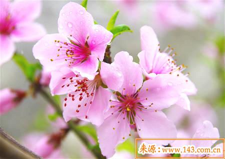 男人催旺桃花运的方法