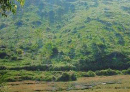 看坟地五口诀 看坟地五口诀