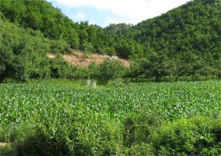 看坟地五口诀 看坟地五口诀