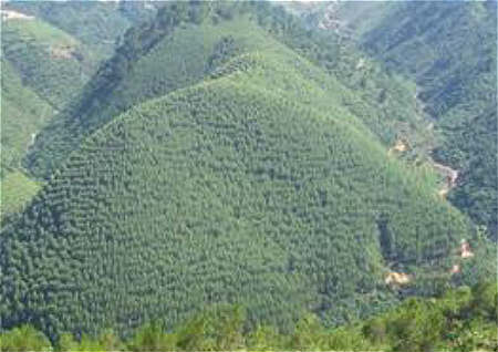 看坟地五口诀 看坟地五口诀