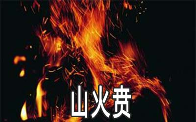 周易山火贲:谈事业发展 周易山火贲:谈事业发展