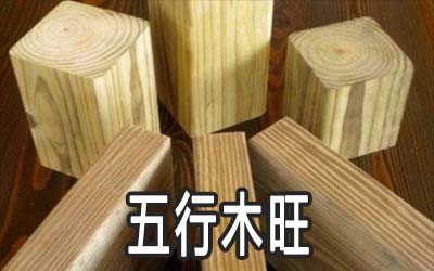 五行木旺的人命运怎麽样