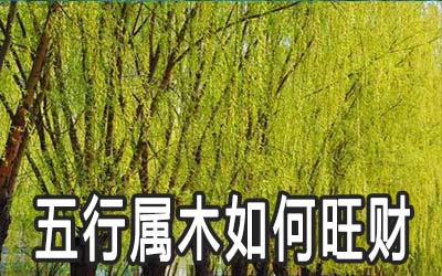 五行属木的人怎麽旺财