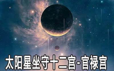 太阳星坐守十二宫：官禄宫详解
