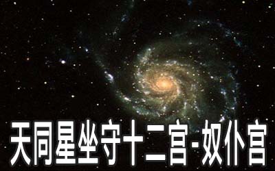 天同星坐守十二宫：奴仆宫详解