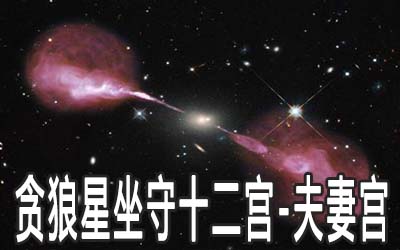 贪狼星坐守十二宫：夫妻宫详解