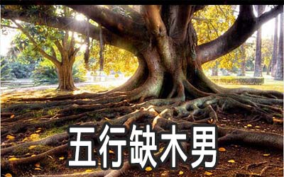 五行缺木的男人要怎麽做