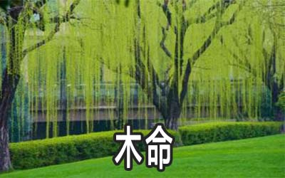 木命有哪几种 哪些年出生