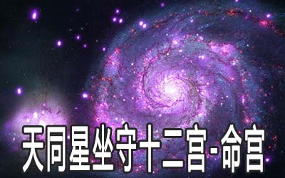天同星坐守十二宫：命宫详解