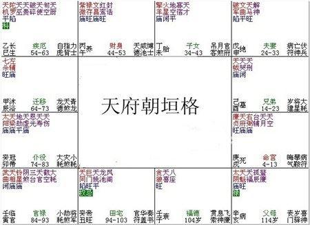 紫微斗数富贵格局：天府朝垣格