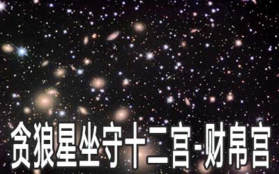 贪狼星坐守十二宫：财帛宫详解