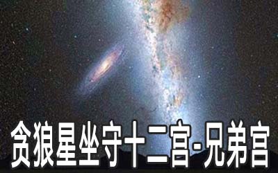 贪狼星坐守十二宫：兄弟宫详解