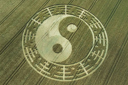 怎麽看八字纯阴纯阳