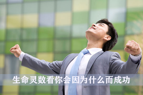 生命灵数看你会因为什麽而成功