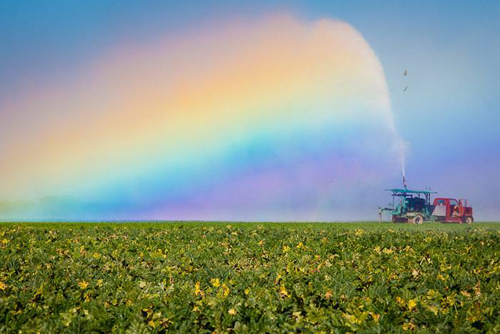 八字命理:盲人断命的金钥匙