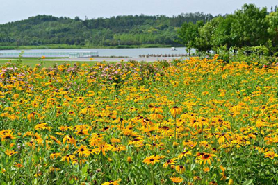 八字命理:盲人断命的金钥匙